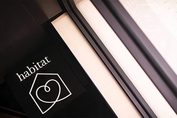 Developer Shell Fit Out